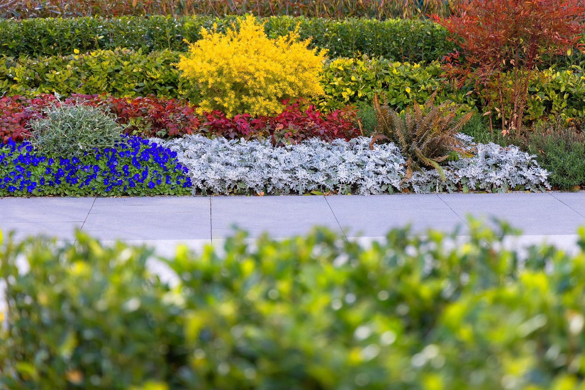 权门国际官网-不凡成就非凡,相信品牌力量